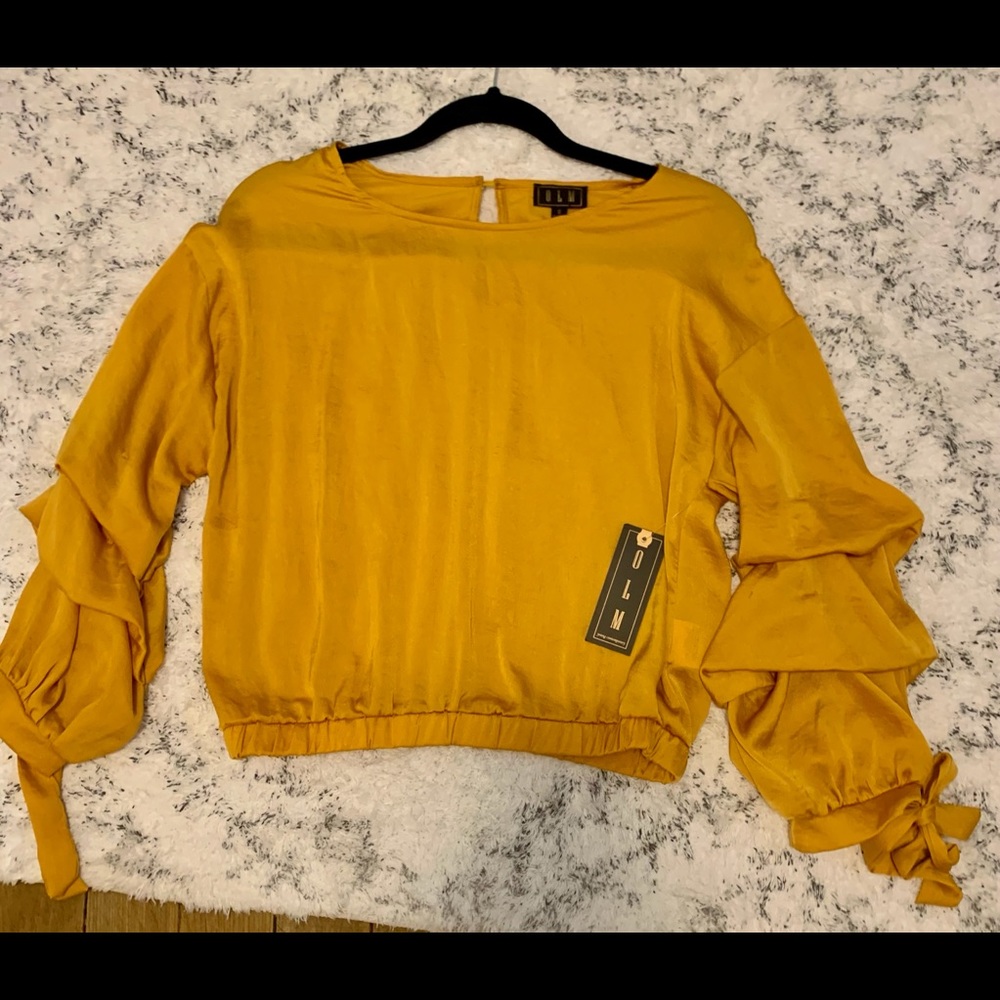 Silky Long Sleeve Blouse